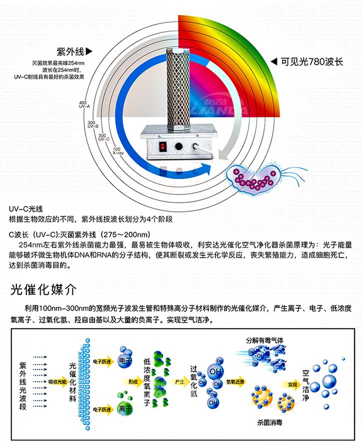 微信截圖_20220627085012.jpg